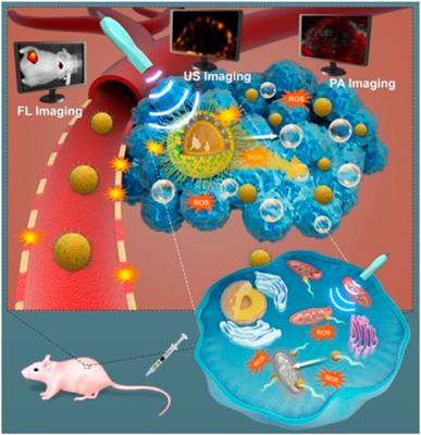 Mitochondria-Targeted Nanocarriers Promote Highly Efficient Cancer Therapy: A Review